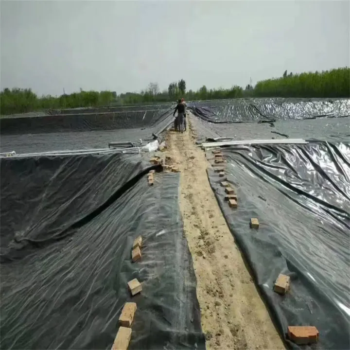 Skenario Aplikasi Proyek Baru