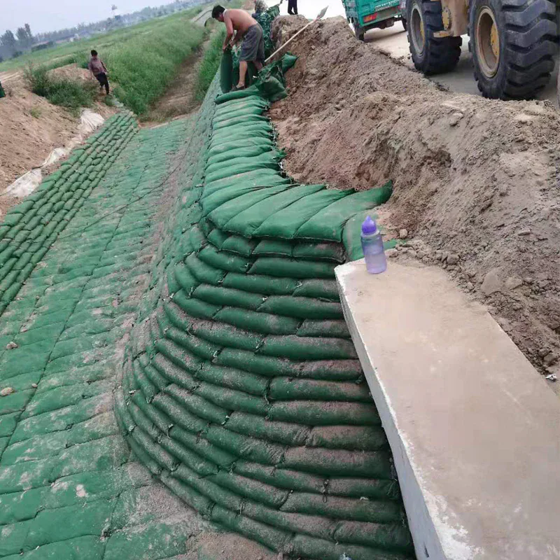 تنظيم الأنهار — تعريف القطاع والتحديات الهندسية