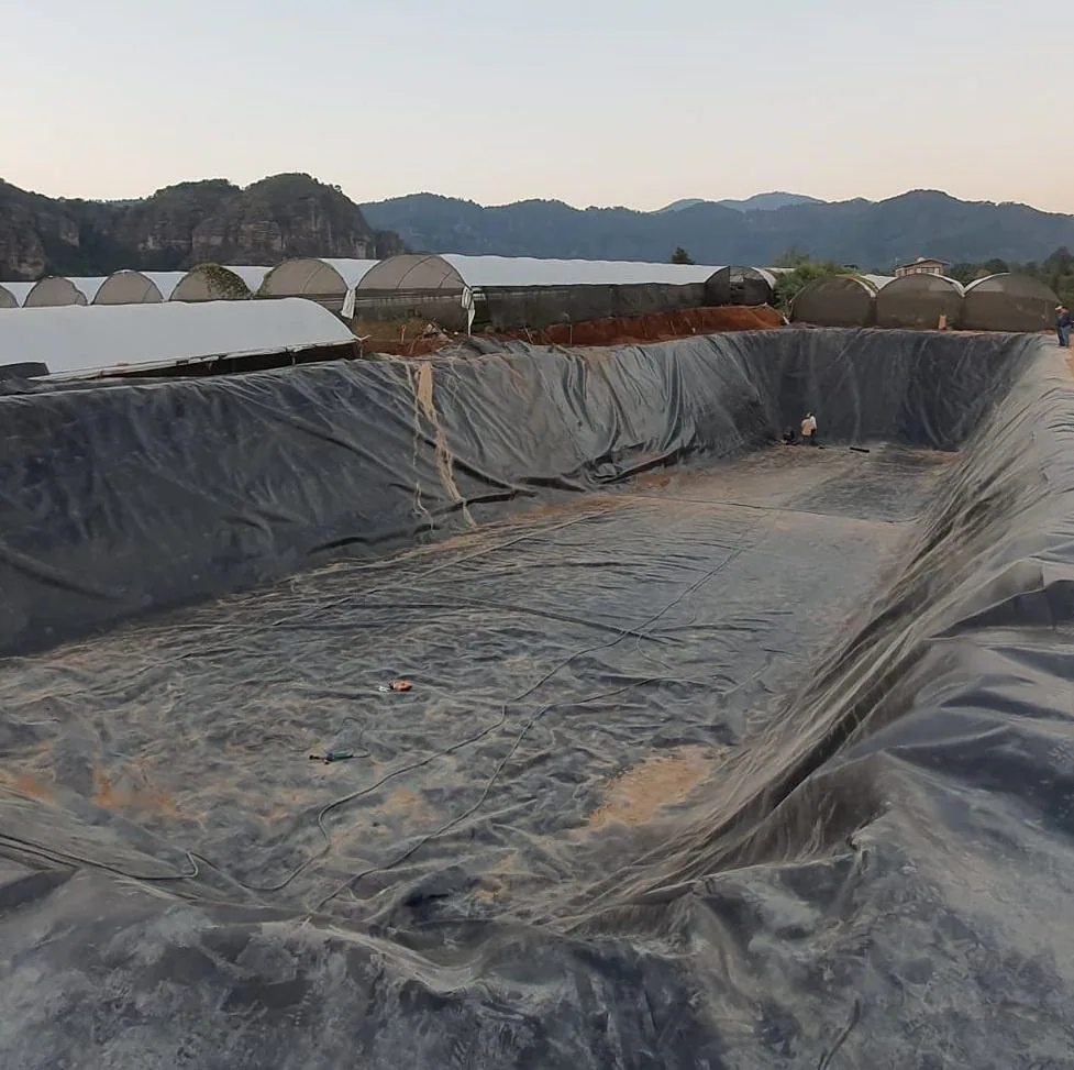 Geomembran LLDPE 5